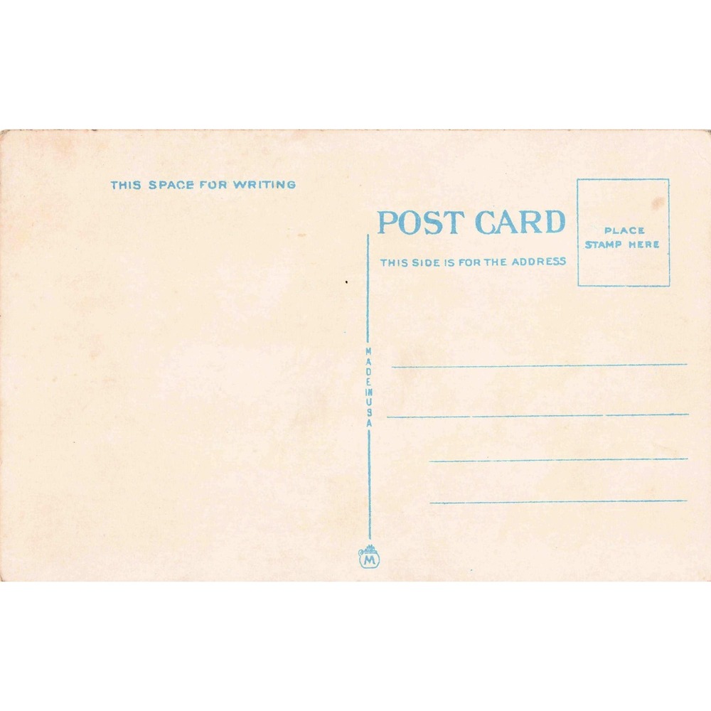 Vtg Cocoanut Tree at Sunny Isles Florida Linen Postcard Coconut Palm 16058 - Picture 2 of 2